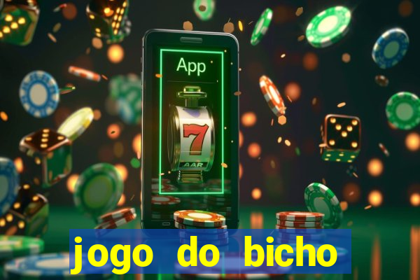 jogo do bicho documentario globoplay